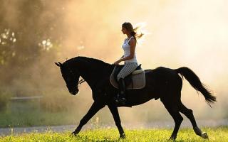 Libro dei sogni moderno su come andare a cavallo Perché sognare di andare a cavallo