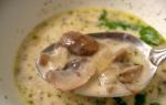 Porcini mushroom soup made from fresh, dried and frozen mushrooms