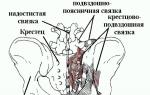 Кокцидиния (остеохондроза на опашната кост) Лумбален гръбначен стълб