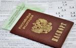 Numero SNIS in base ai dati del passaporto online